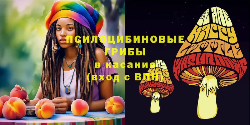 ссылка на мегу   Бирск  Галлюциногенные грибы Magic Shrooms 